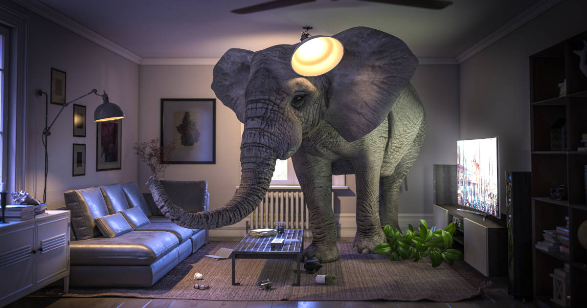 The Elephant in the Room